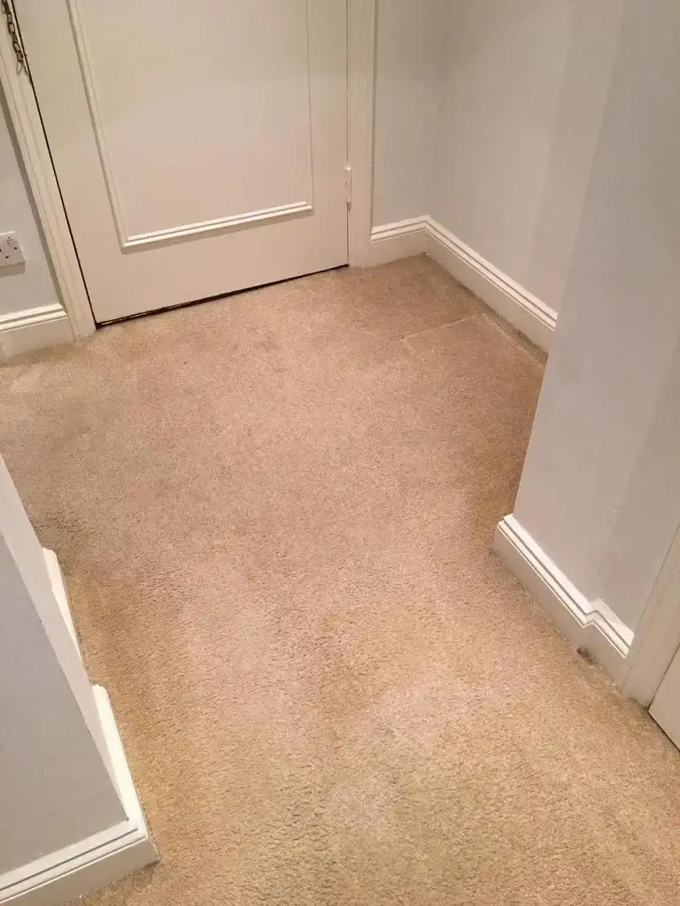 A cleaned carpet showing no signs smoke or soot damage after a fire clean.