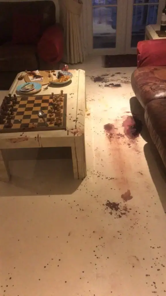 Bodily fluids on a carpet.
