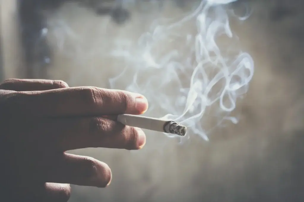 A lit cigarette in someone's hand with smoke flowing out.