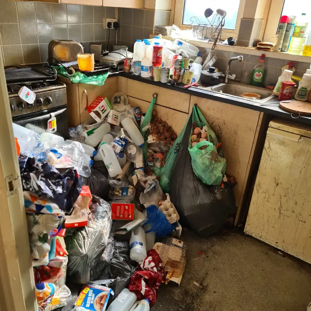 Example of a hoarder kitchen.