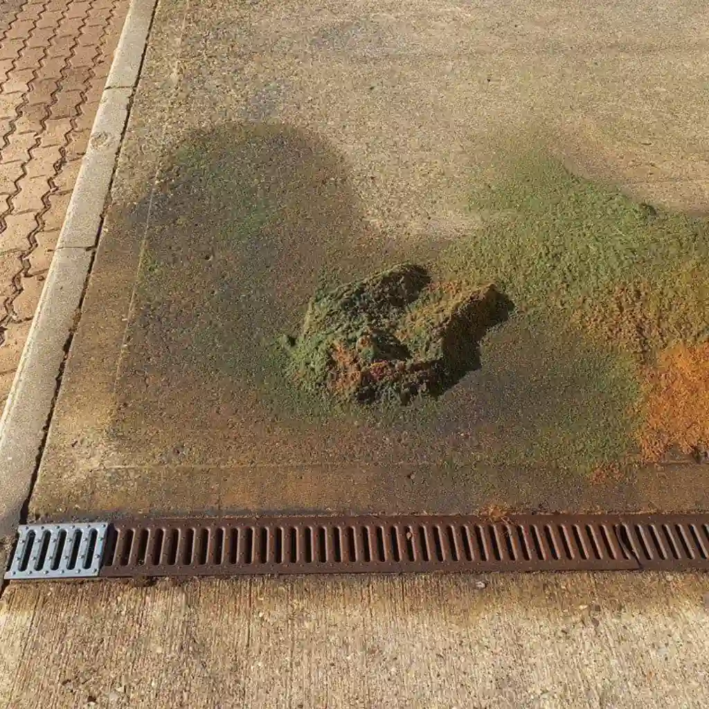 Contaminated sand.