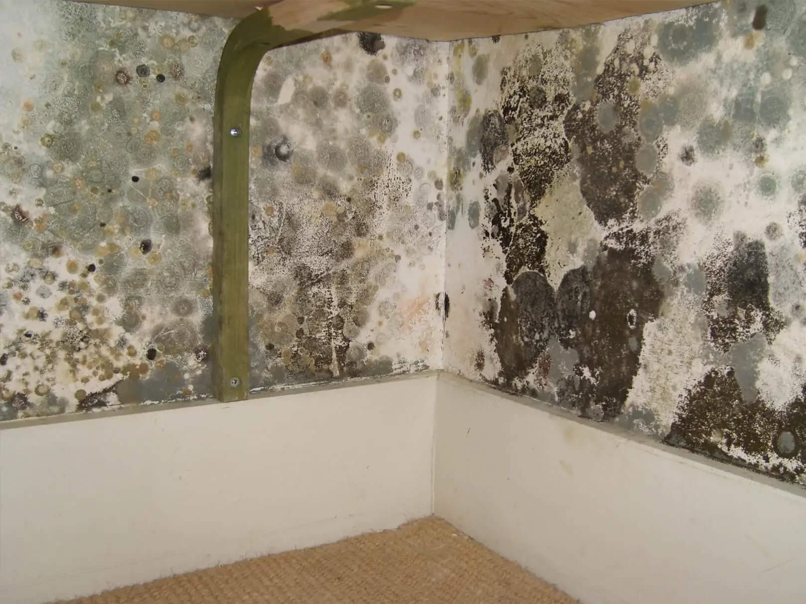 Can you wallpaper over anti mould paint? - Ideal Response