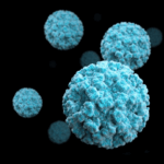 Norovirus