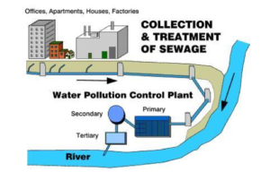 diagram of collection and treatment of sewage