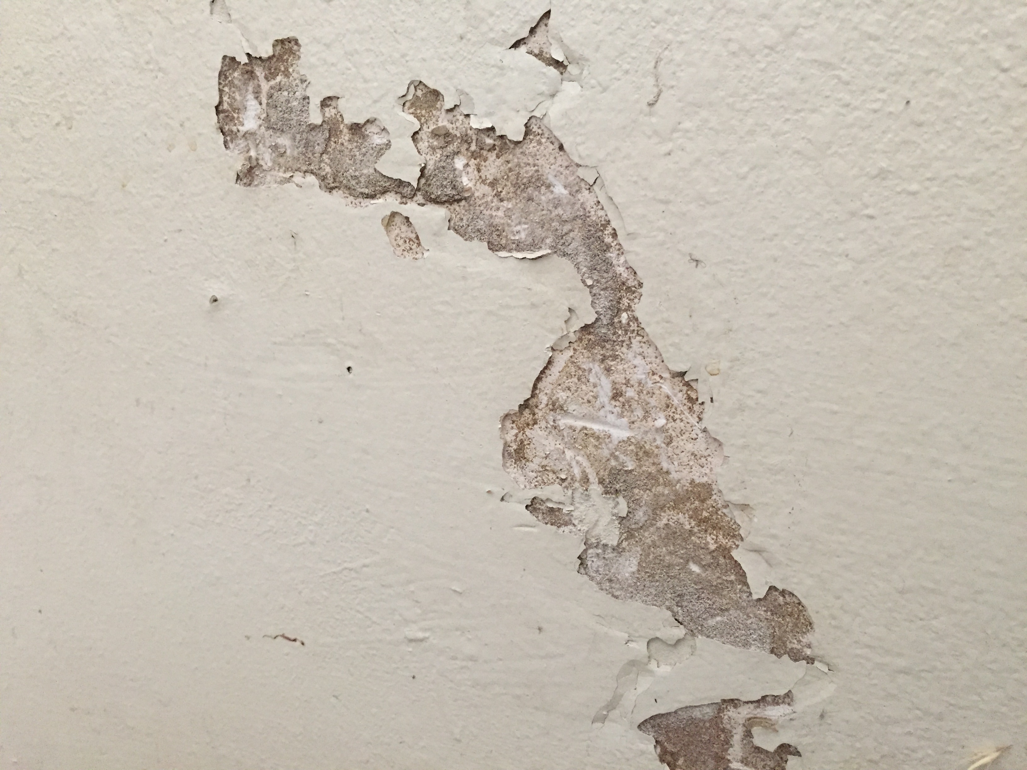 Water Damaged Drywall and Plaster