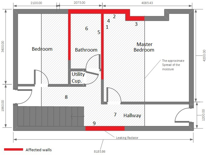 Floor Plan of London Flat Effected by Fungal Growth