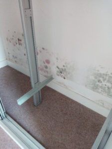 Mould in East London Flat