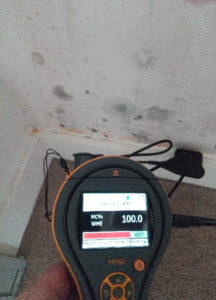 Mould in East London Flat and Humidity Reading
