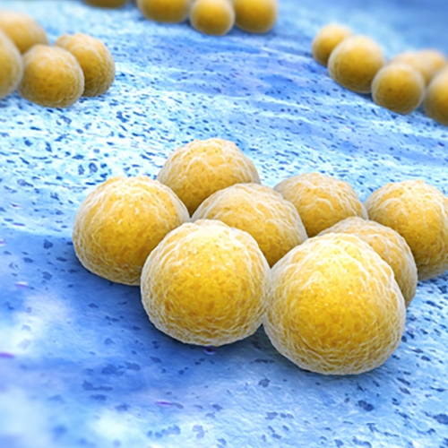 MRSA Virus