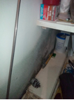 contaminated plasterboard in storage cupboard