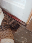 contaminated underlay and gripper in master bedroom