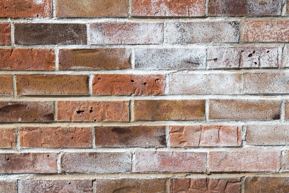 Efflorescence on Brick wall