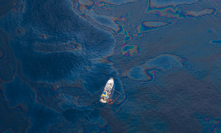 Oil Spill Gulf of Mexico 2010, Deepwater Horizon