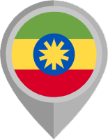 Ethiopia Coronavirus Stats