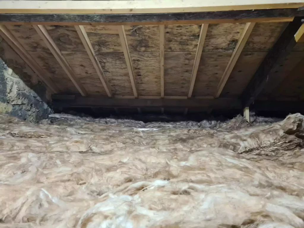 Mould affected roof next to roof insulation