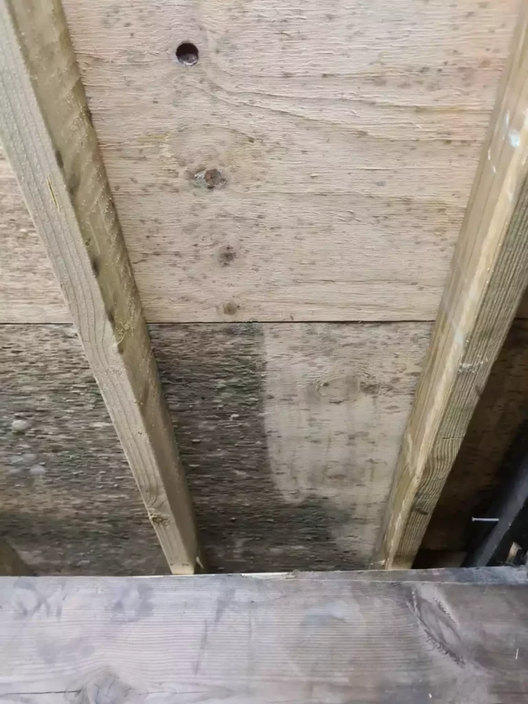 Mould Removal inside of Roof
