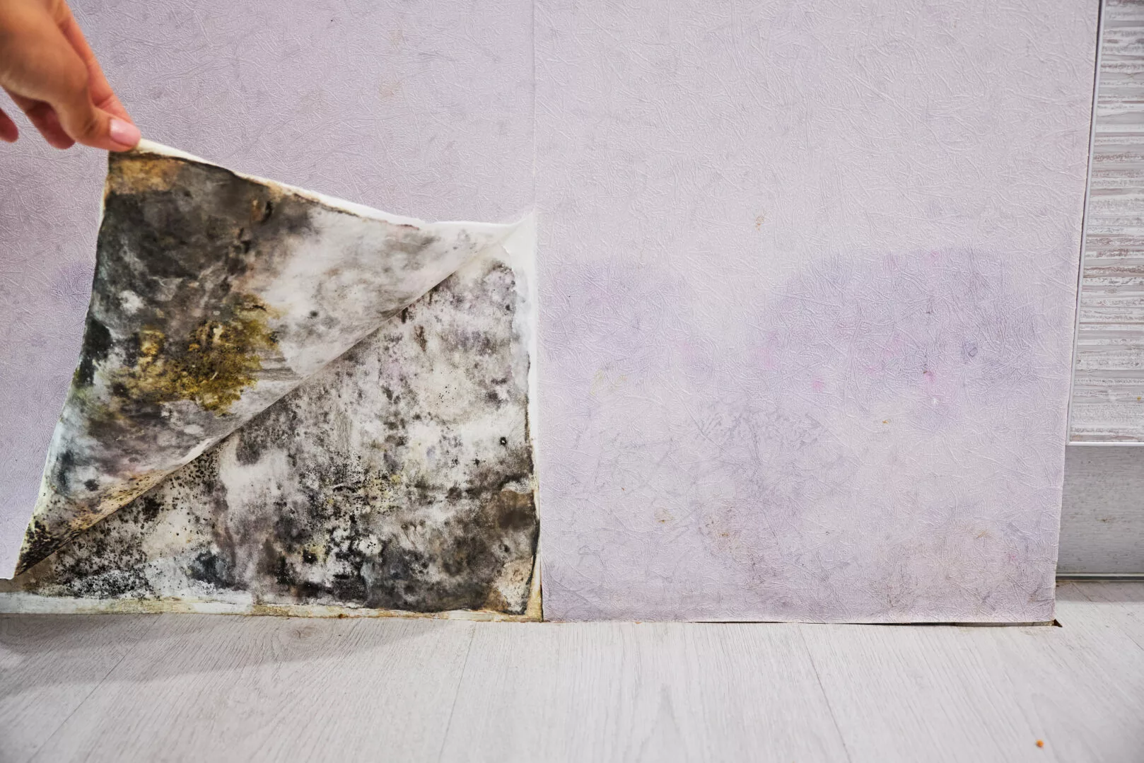 Can you wallpaper over anti mould paint? - Ideal Response Can you wallpaper over anti mould paint? - Ideal Response