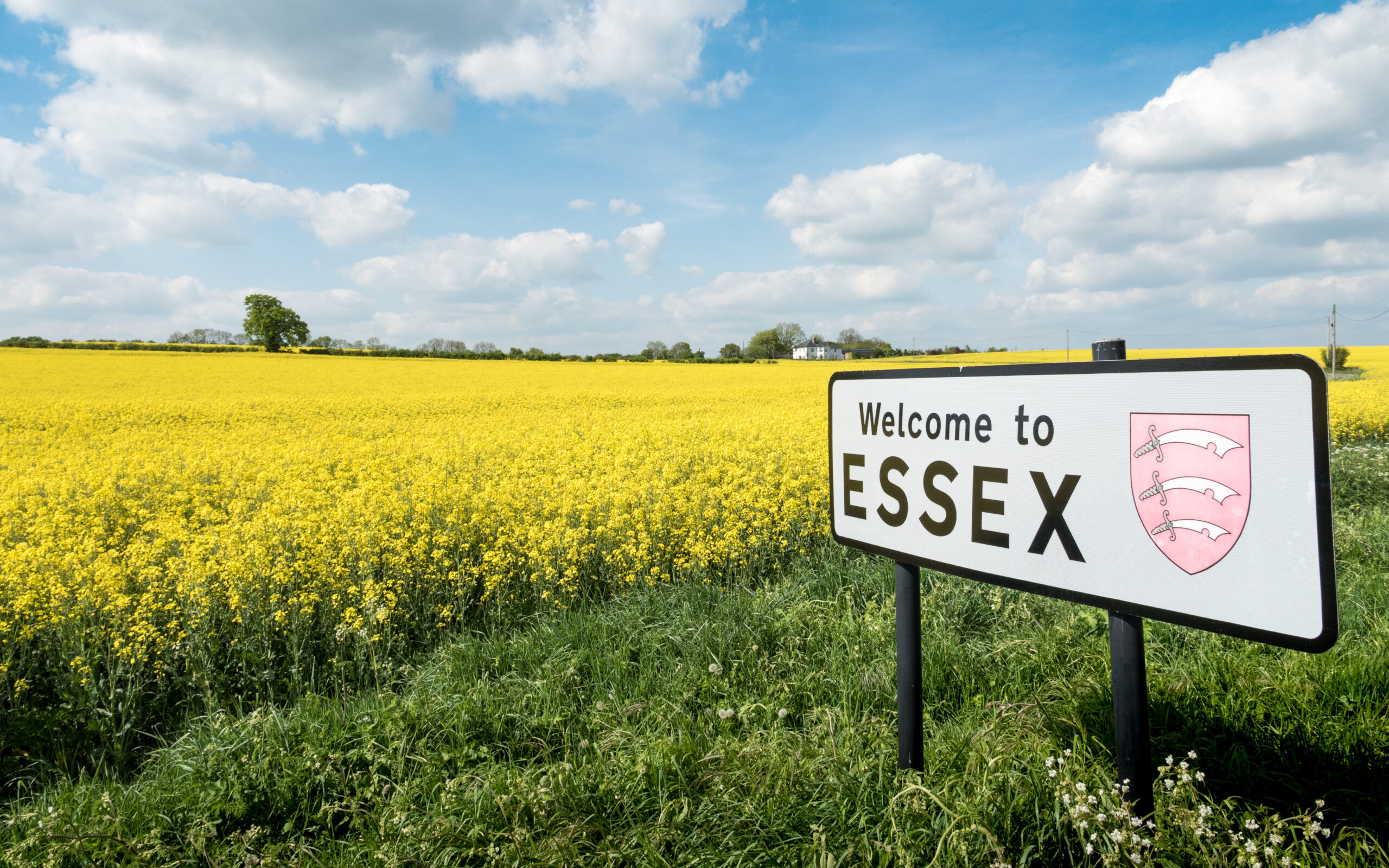 Essex