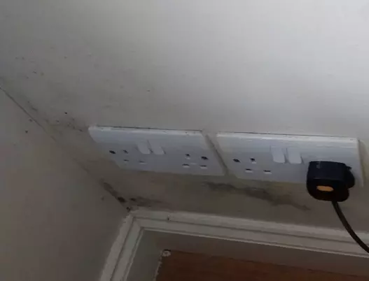 Mould Around Plug Removal