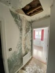 Collapsed Ceiling and Mould Growth