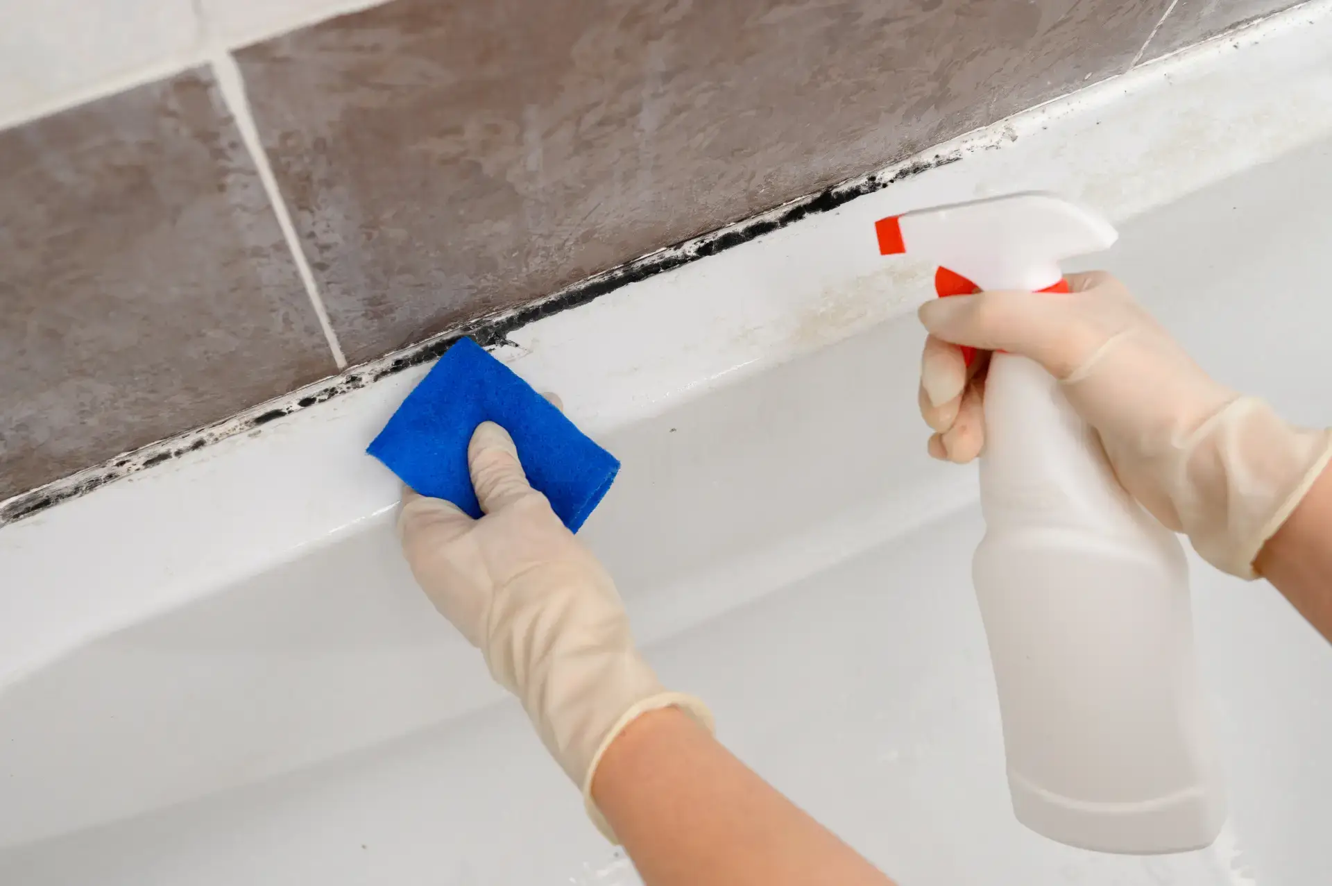 Domestic cleaner using spray to clean mould in a bathroom