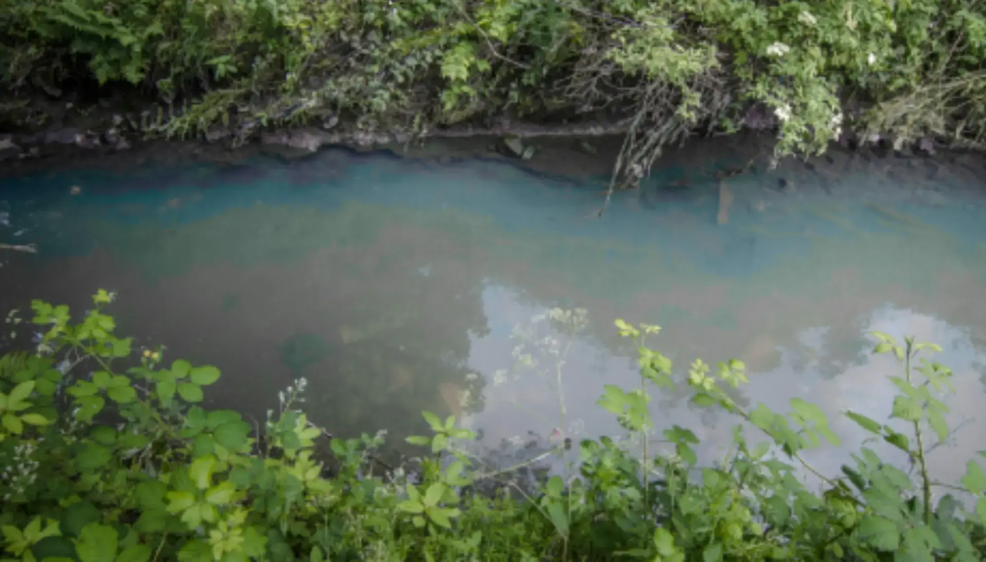 A stream polluted by an oil and chemical spill