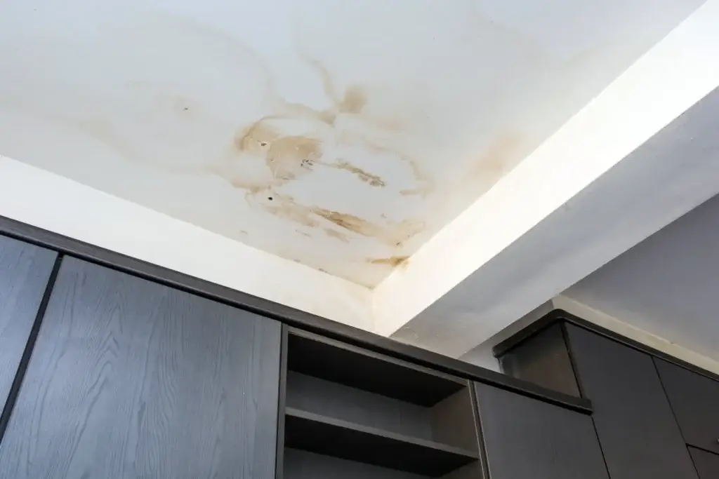Stain on ceiling of room