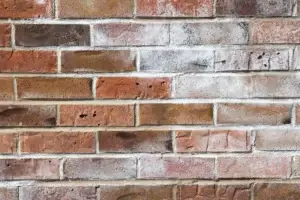 Salty efflorescence deposits on exterior building brickwork.