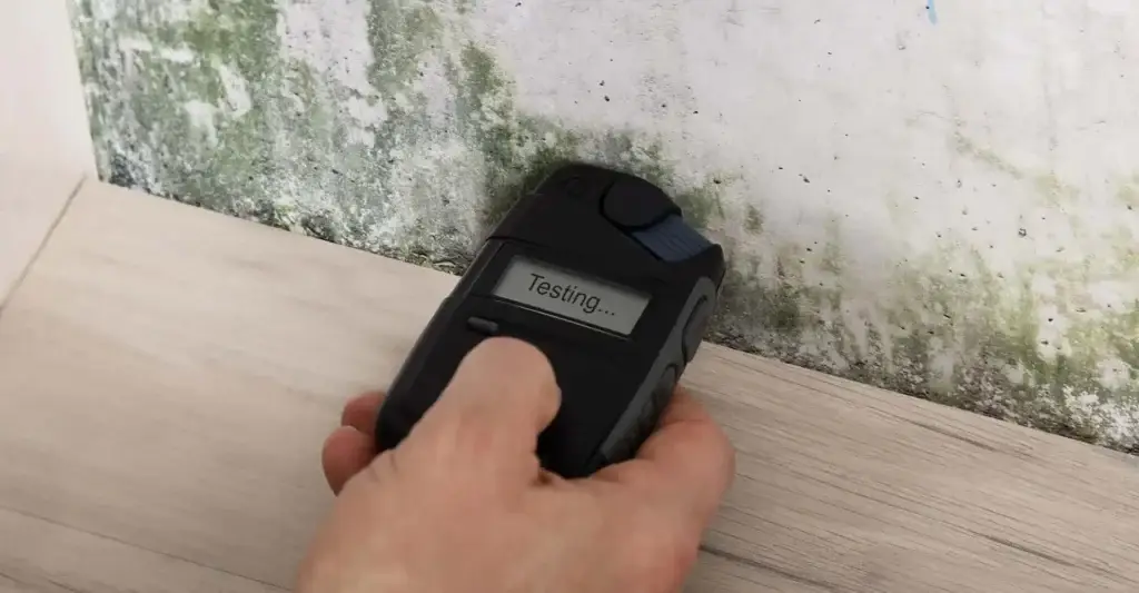 Moisture reading being taken on a mouldy wall.