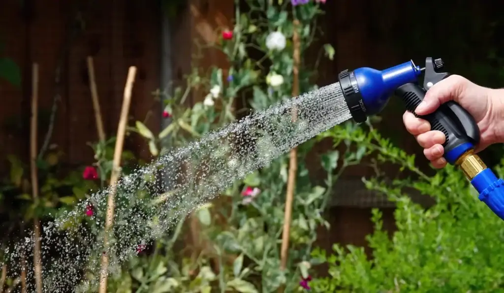 Image of plants being watered in the summer for leak detection blog