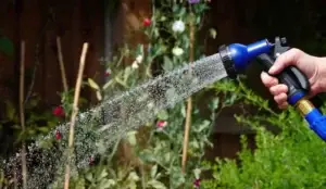 Image of plants being watered in the summer for leak detection blog