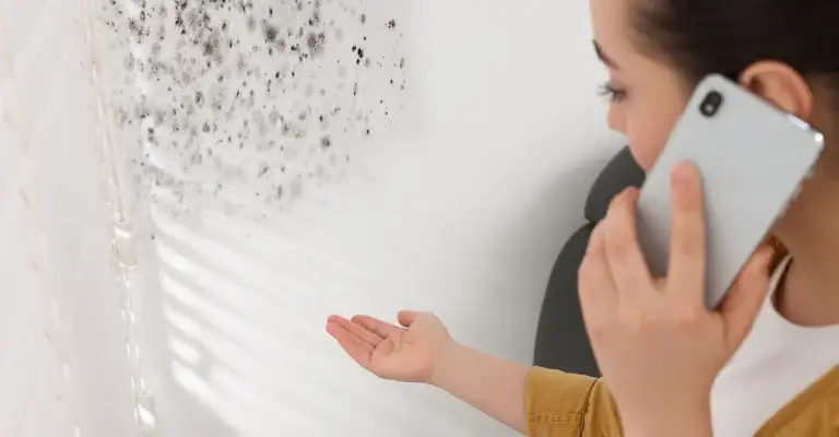 UK homeowner calling Ideal Response for mould removal services, standing in front of a mould covered wall.