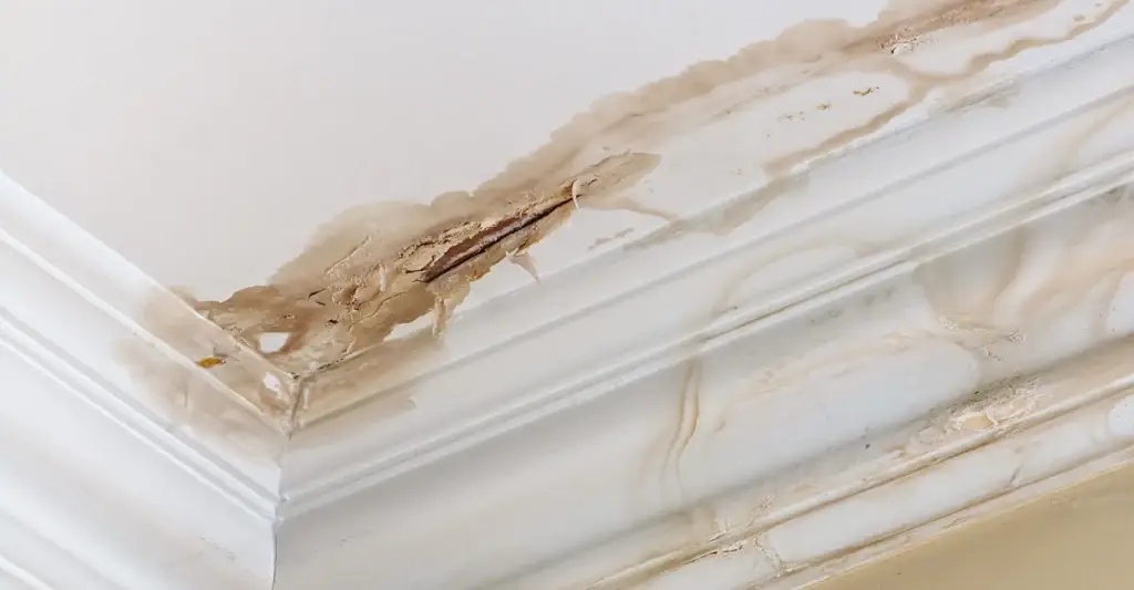Water damage in UK home caused by a hidden water leak.