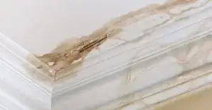 Visible water damage on a ceiling