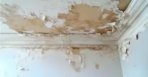 Peeling paint in a damp UK property.