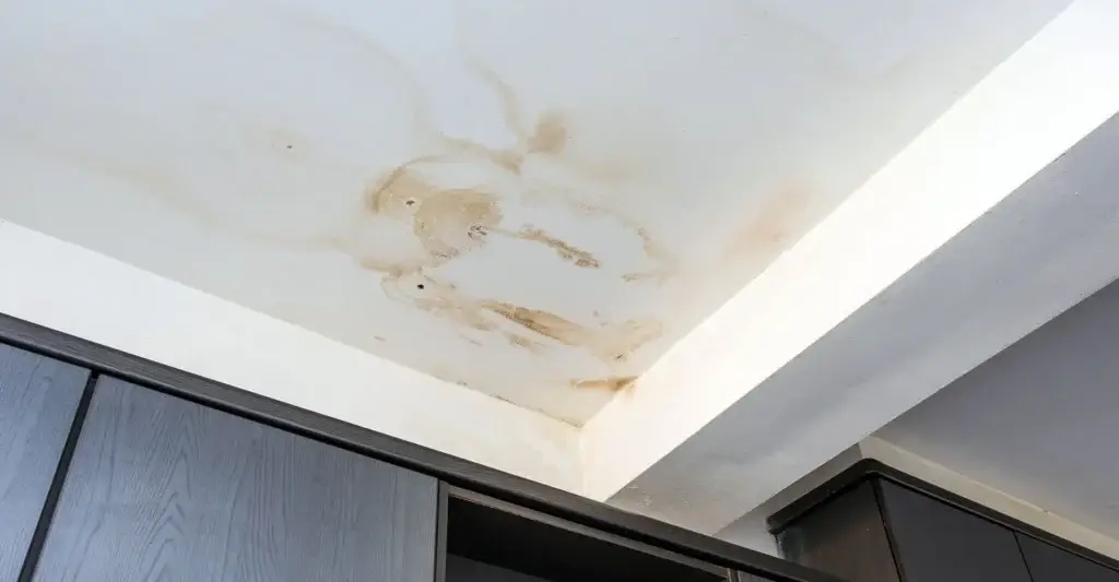 Water damage and discolouration caused by a hidden water leak.