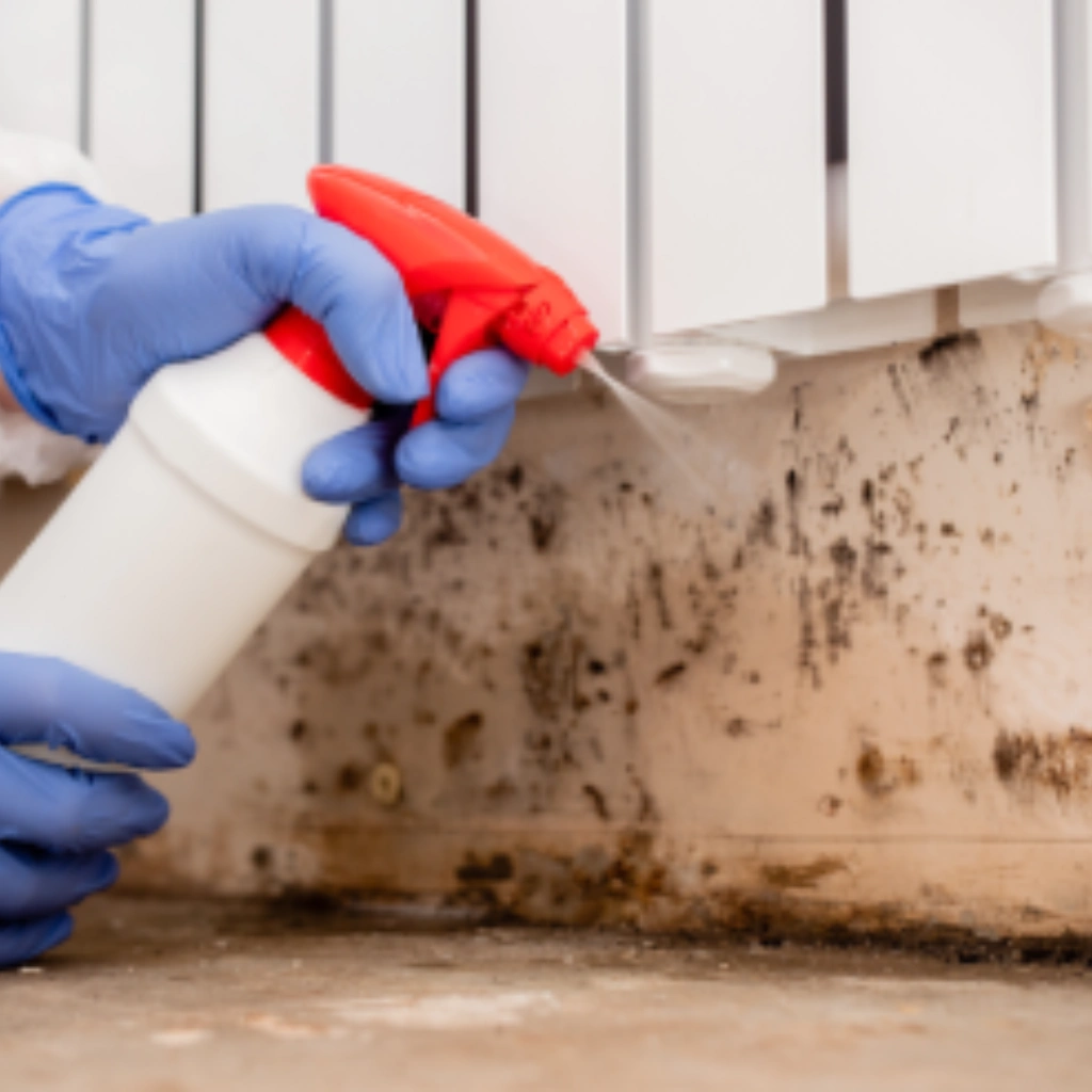 Close up of person spraying mould