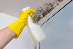 Spraying black mould