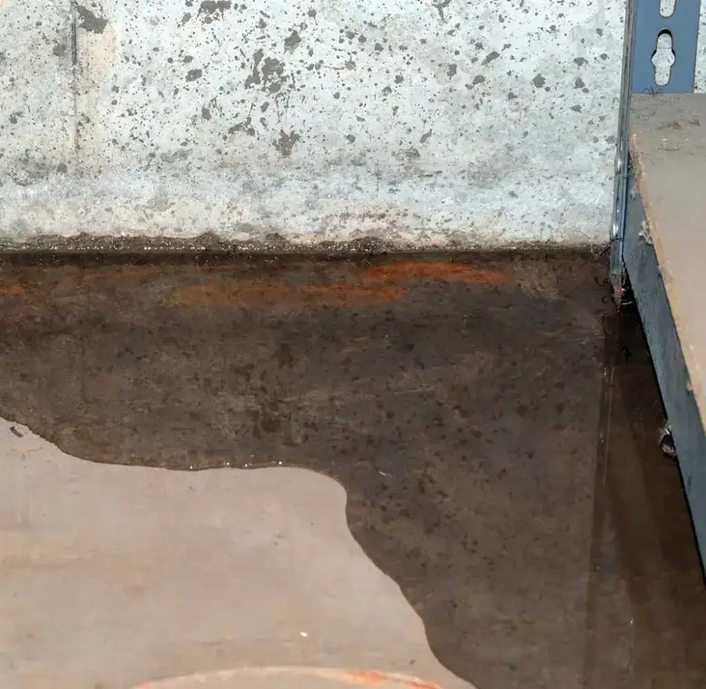 Signs of water ingress in basement