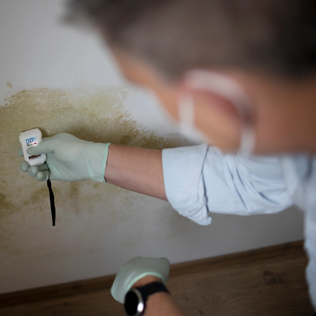 Surveyor testing for damp