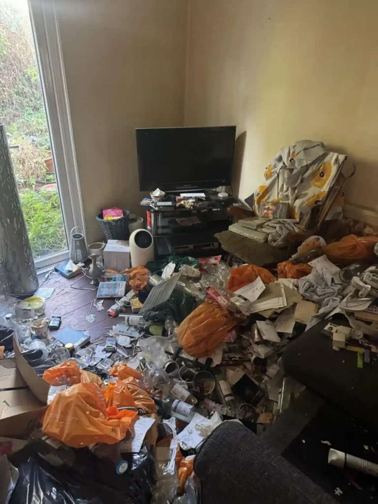 Hoarding contents in a London home.