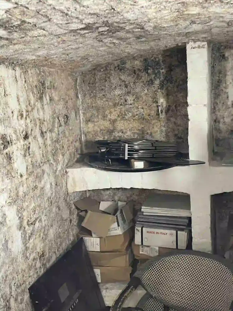 London pub basement affected by mould.