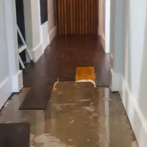 A flooded property with wood flooring.