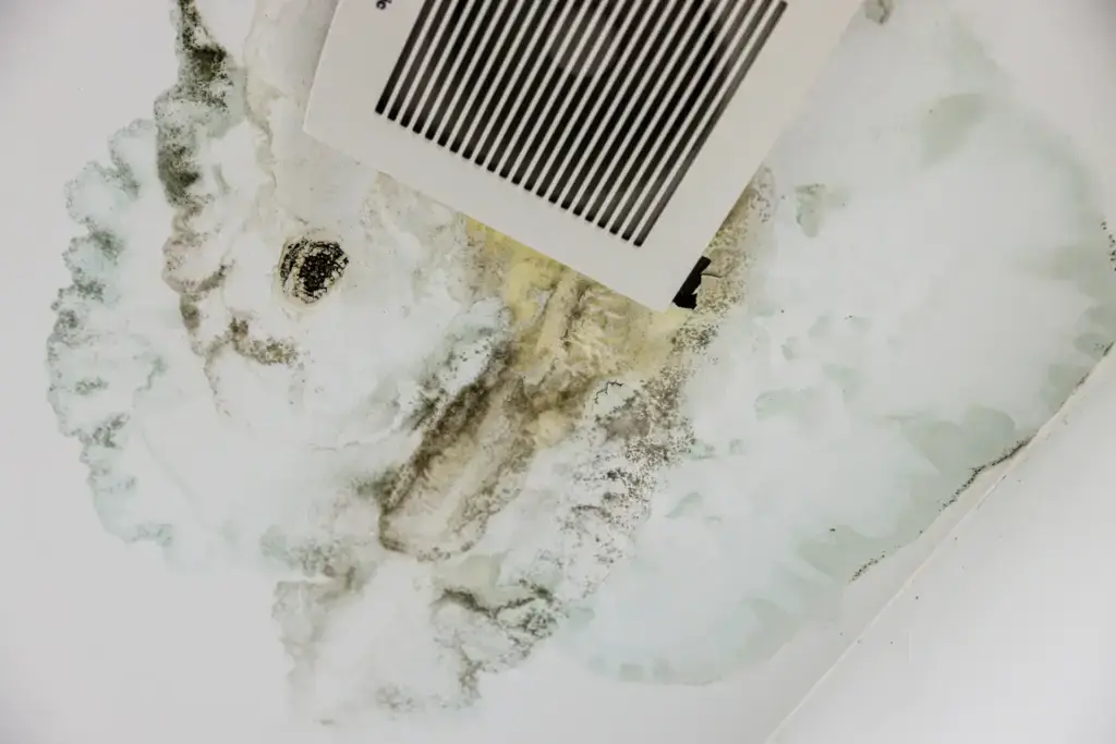 Black mould in the ceiling of a bathroom