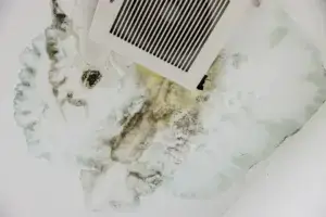 Black mould in the ceiling of a bathroom