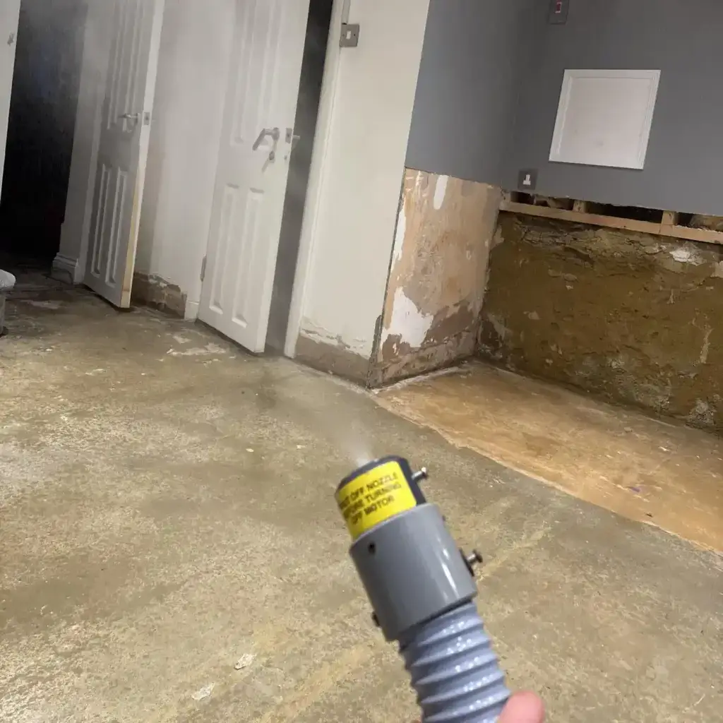 Decontaminated basement post strip-out.