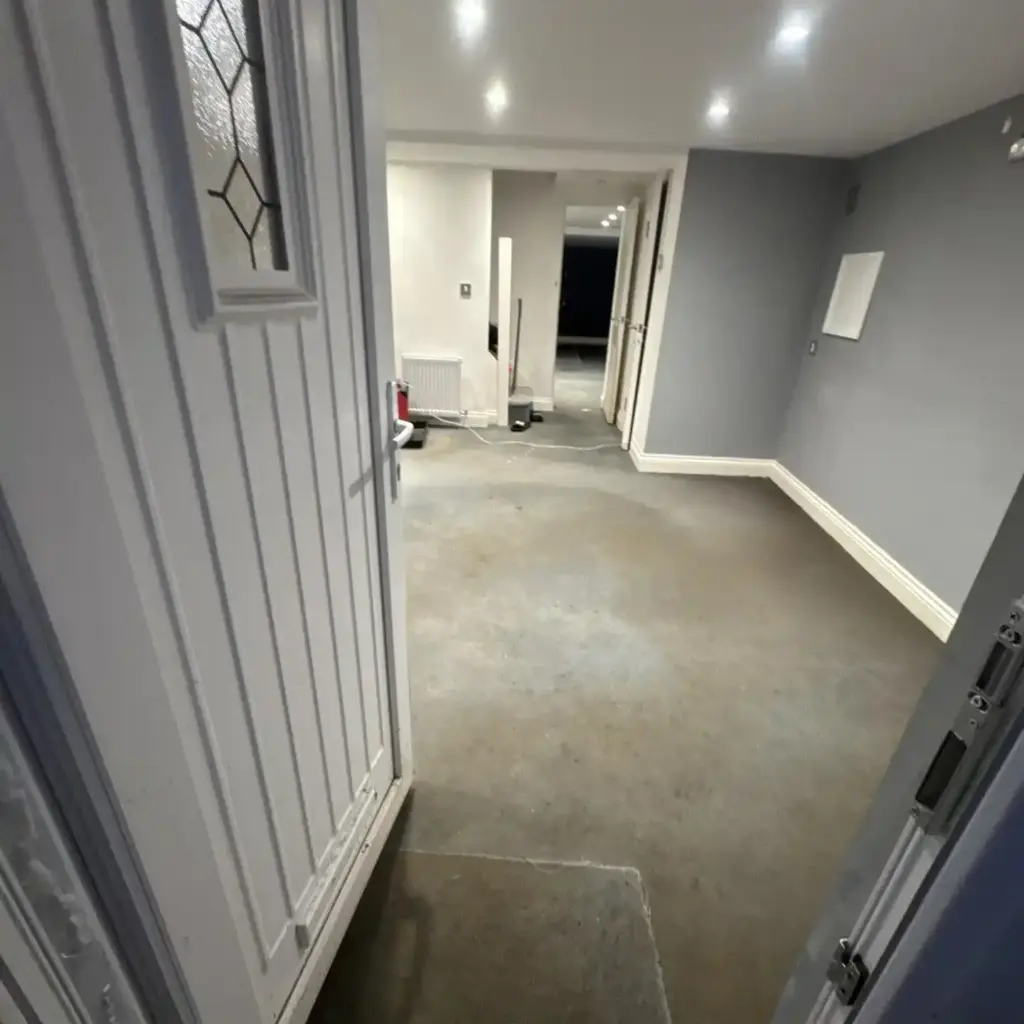 Sewage spill in Woodford Green basement.