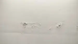 Signs of water ingress.