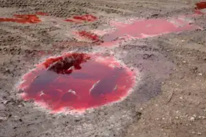 Diesel pollution on private land