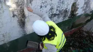 Engineer inspecting an exterior wall with damp and mould